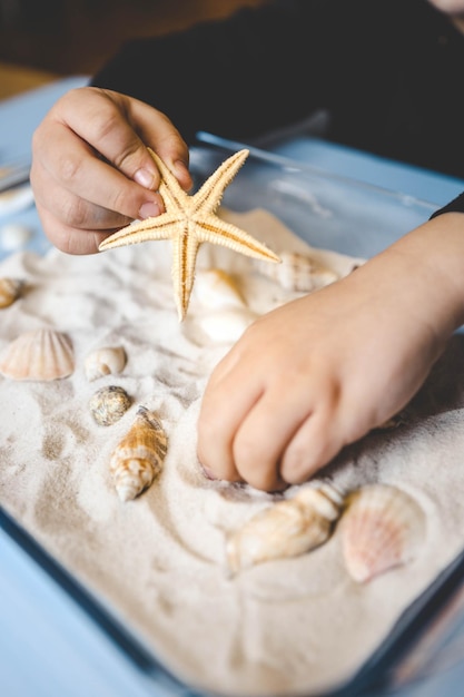 Un bambino studia sabbia e conchiglie un'idea per un'attività con un bambino