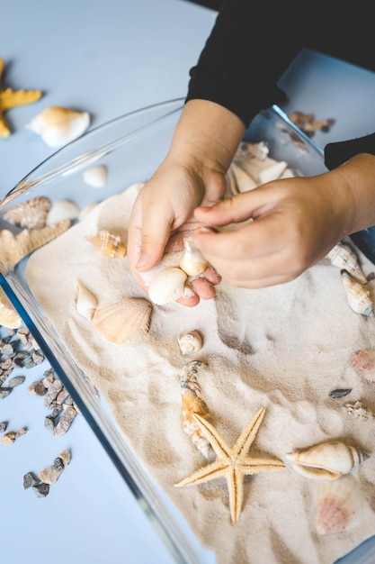 Un bambino studia sabbia e conchiglie un'idea per un'attività con un bambino