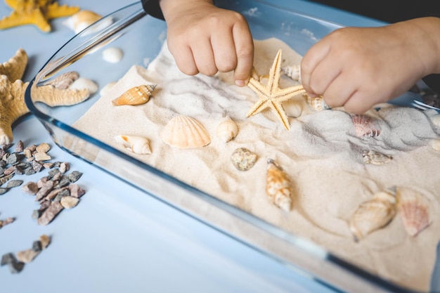 Un bambino studia sabbia e conchiglie un'idea per un'attività con un bambino