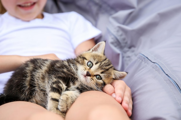 Un bambino tiene in braccio un gattino e lo accarezza