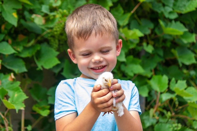 Un bambino tiene in mano un pollo Un ragazzo e un uccello