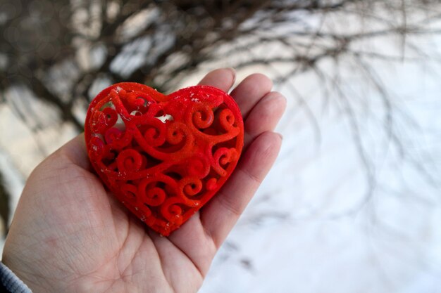 un bel cuore rosso che la ragazza tiene in mano