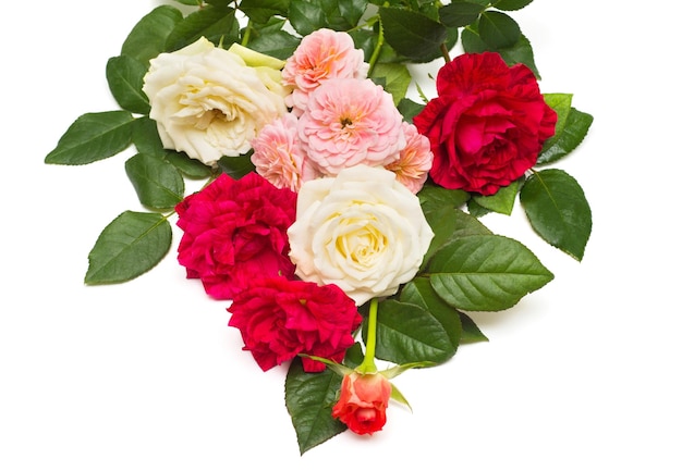 Un bel mazzo di rose fiori rossi isolati su sfondo bianco. Carta di matrimonio. Floristica. Saluto. Estate. Primavera. Disposizione piatta, vista dall'alto