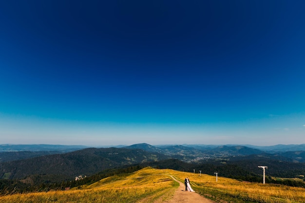 Un bel panorama di montagne ricoperte di boschi e a