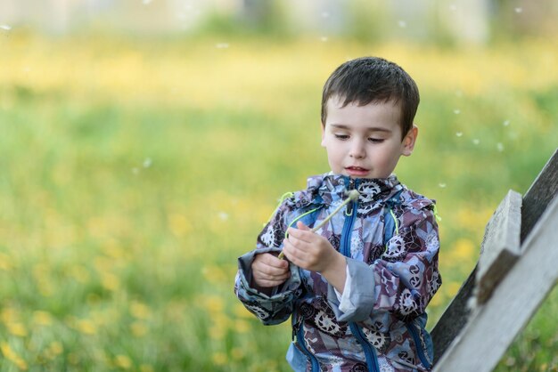 Un bellissimo bambino con un fiore di dente di leone in un parco estivo