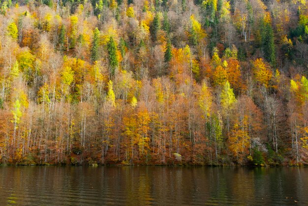 Un bellissimo e luminoso paesaggio autunnale