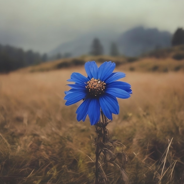 un bellissimo fiore blu in un campo