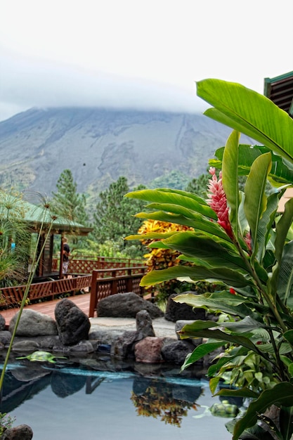 Un bellissimo hotel con il vulcano sullo sfondo chiamato La Frontera a Monteverde
