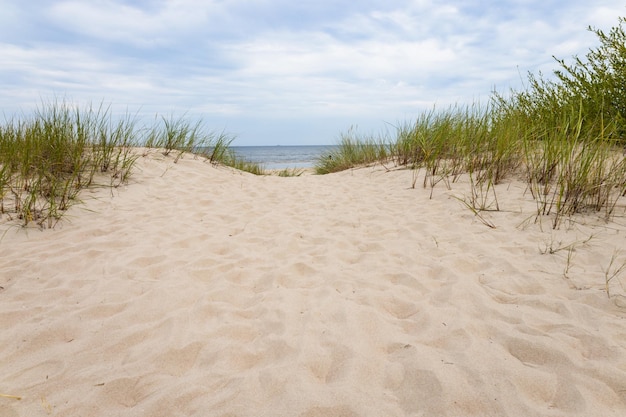 Un bellissimo paesaggio con spiaggia e dune di sabbia vicino al Mar Baltico