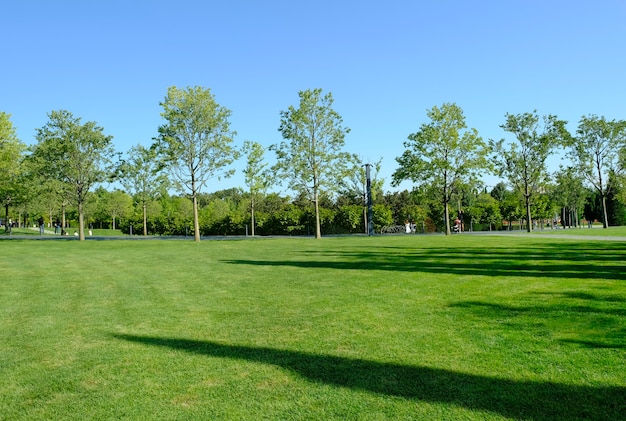 Un bellissimo paesaggio del parco e un'area ricreativa in città. Persone che prendono il sole e si rilassano/