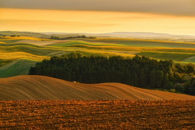 Un bellissimo paesaggio delle colline