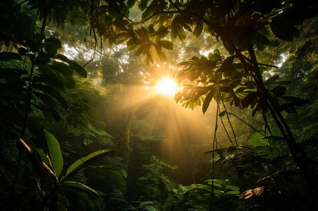 Un bellissimo paesaggio di sole che splende su una foresta verde piena di diversi tipi di piante