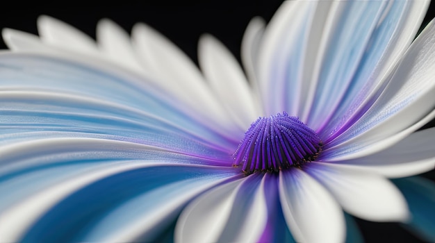 Un bellissimo primo piano di un fiore selvatico