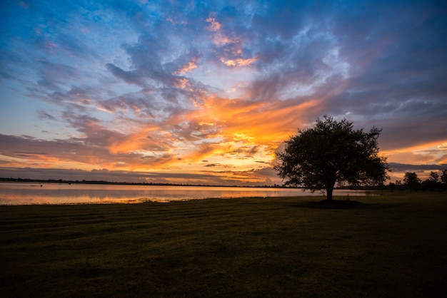 Un bello tramonto dell&#39;albero del paesaggio dell&#39;albero che sta vicino al fiume