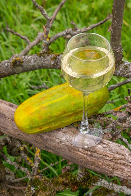 Un bicchiere di vino sullo sfondo della natura