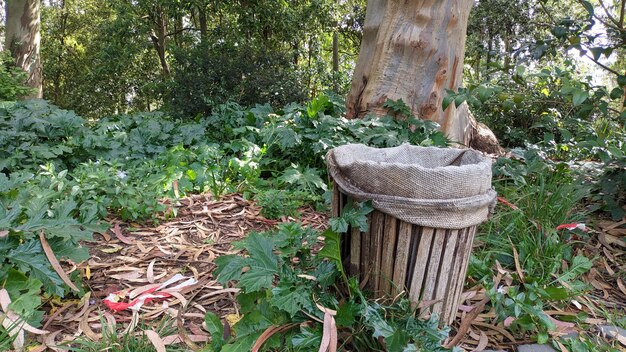 Un bidone della spazzatura in legno con dentro un sacco di stoffa nel parco sullo sfondo di un albero