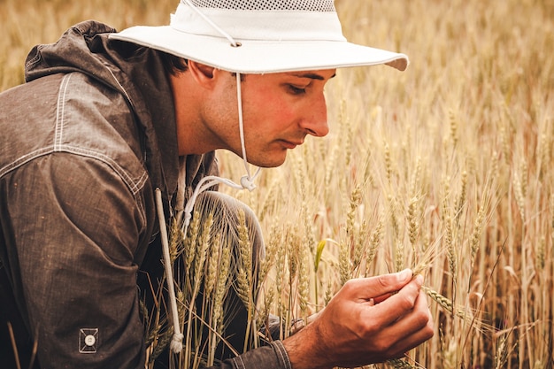 Un biologo con un cappello bianco dal sole esamina i grani sullo sfondo di un campo