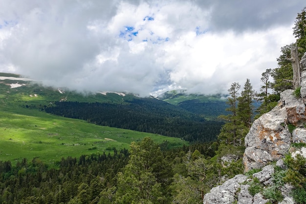 Un bosco incastonato tra le rocce a strapiombo sui prati alpini L'altopiano del LagoNaki ad Adygea