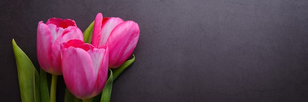 Un bouquet di bellissimo primo piano tulipano rosa brillante contro un muro di stucco grigio scuro.