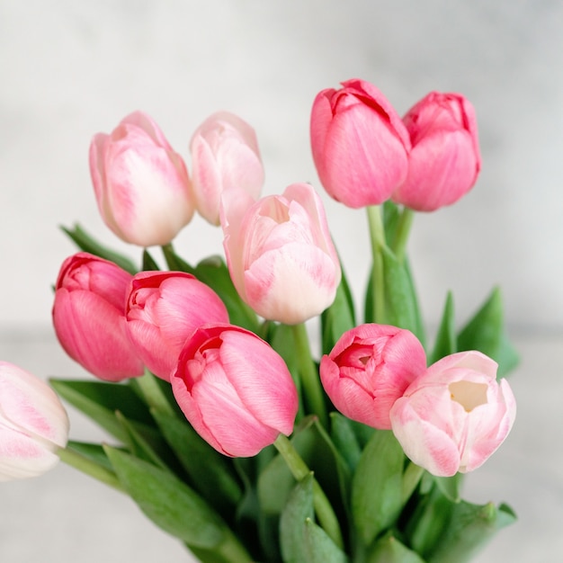 Un bouquet di delicati tulipani rosa per le vacanze. Festa della mamma, compleanno, San Valentino. biglietto d'auguri. messa a fuoco selettiva morbida, primo piano.