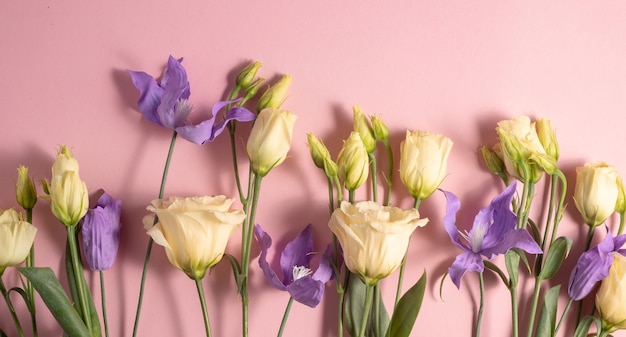 Un bouquet di eustoma giallo chiaro e clematide lilla su una parete rosa. copia spazio. Foto di alta qualità