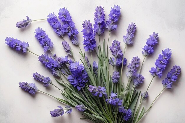 Un bouquet di fiori blu lavanda su uno sfondo chiaro vista dall'alto