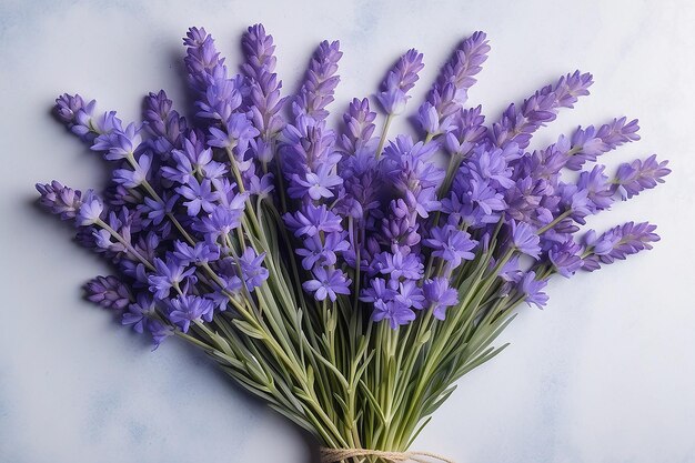 Un bouquet di fiori blu lavanda su uno sfondo chiaro vista dall'alto