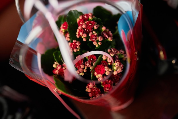 un bouquet di fiori di campo rossi in confezione di cellophan