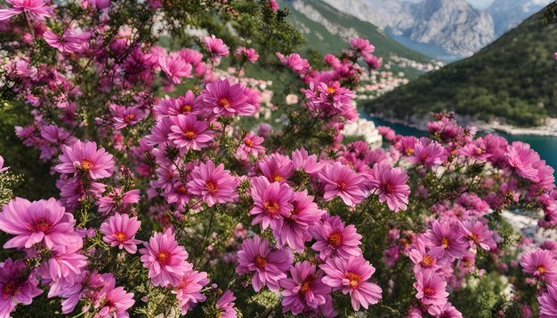 un bouquet di fiori rosa con le montagne sullo sfondo