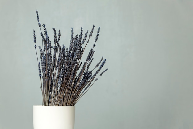 Un bouquet di lavanda blu secca si trova in un vaso bianco su un tavolo contro un muro grigio. Spazio per il testo.