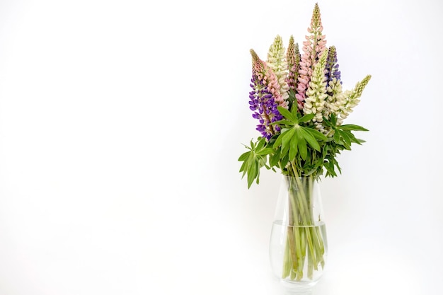 Un bouquet di lupini in un vaso di vetro trasparente decora l'interno bianco Spazio di copia