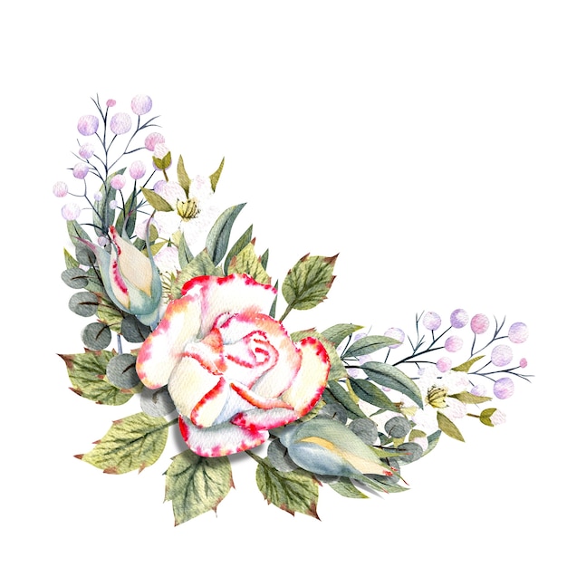 Un bouquet di rose bianche con bordo rosa, foglie, bacche, ramoscelli decorativi. Illustrazioni ad acquerello per la progettazione di biglietti di auguri, inviti, ecc.