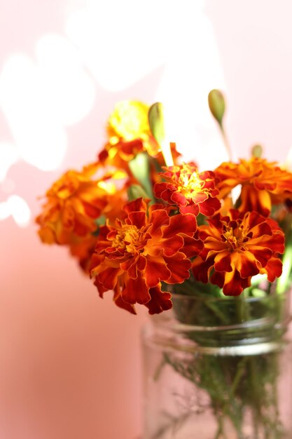 un bouquet di Tagetes patula arancione e giallo brillante, i fiori di calendula francese in un vaso di vetro