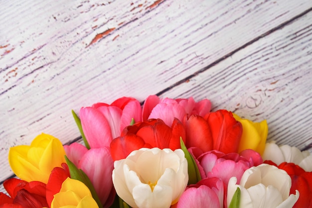 Un bouquet di tulipani freschi, luminosi e multicolori su assi di legno bianchi.