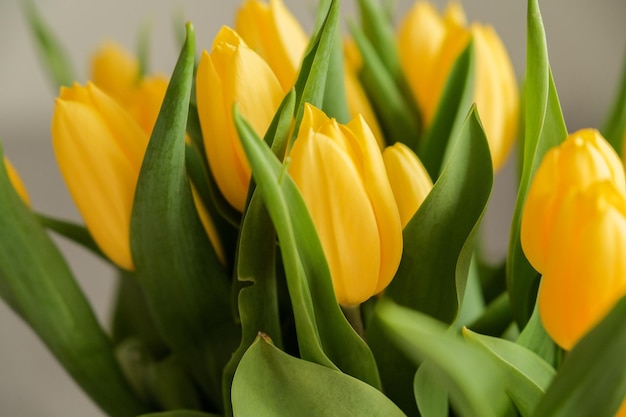 Un bouquet di tulipani gialli closeup Bellissimi fiori gialli con foglie verdi Sfondo con fiori Fiori per le vacanze Molti germogli di tulipani gialli