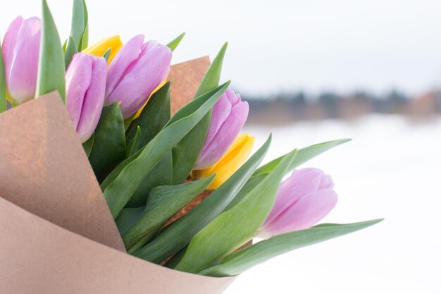 Un bouquet di tulipani primaverili nella neve Cartella di auguri per la Giornata Internazionale della Donna dell'8 marzo