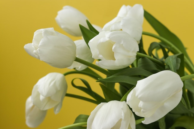 Un bouquet primaverile di tulipani bianchi freschi su sfondo giallo