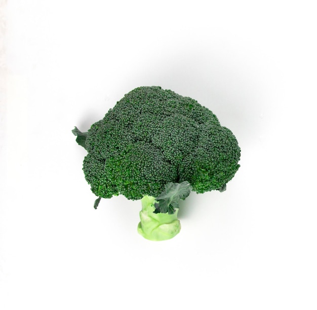 Un broccolo fresco isolato su sfondo bianco un concetto di cibo sano biologico