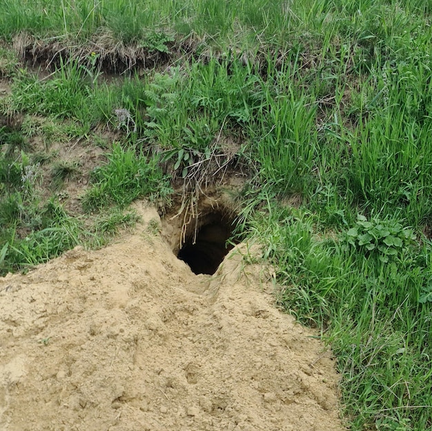 Un buco nel terreno fatto di sabbia