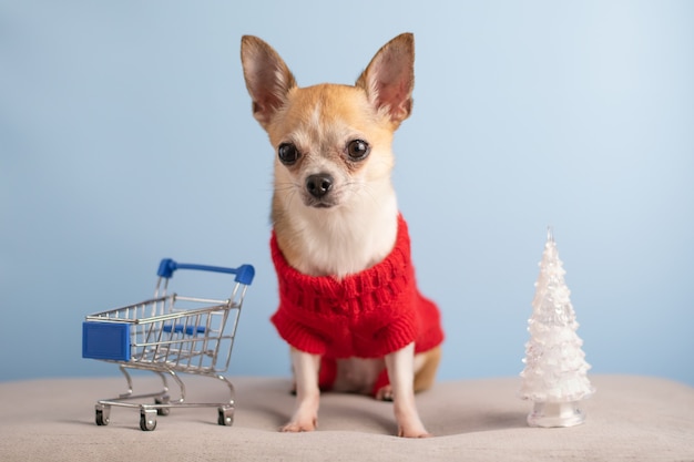 Un cagnolino con un maglione di Capodanno si siede con un albero di Natale su uno sfondo blu