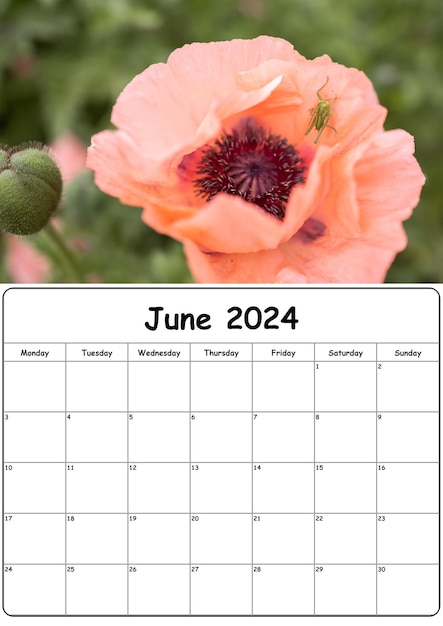 Un calendario per giugno 2024 con fiori di papavero