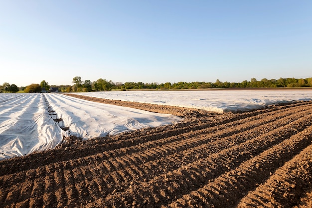 Un campo agricolo su cui giace materiale come la serra