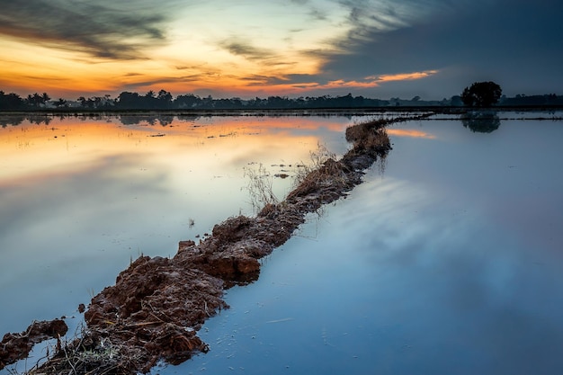 Un campo allagato con un tramonto sullo sfondo