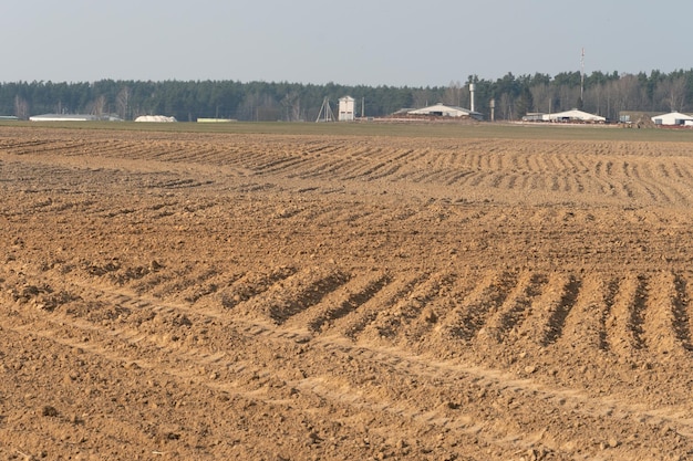 Un campo appena arato prima della semina Granaglie frumento e orzo Preparazione del terreno per la semina La stagione della semina