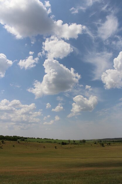 Un campo con alberi e nuvole nel cielo