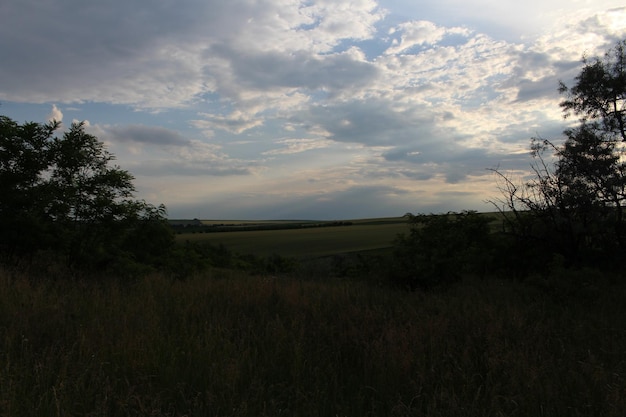 Un campo con alberi e nuvole