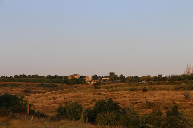 Un campo con alberi ed edifici