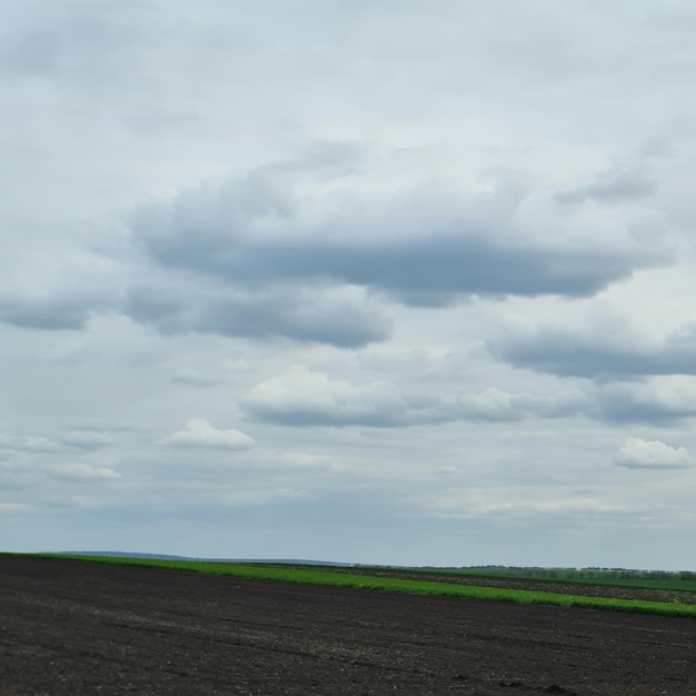 Un campo con cielo nuvoloso e un campo verde con poche nuvole.