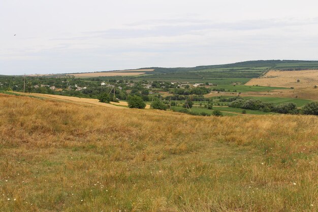 Un campo con erba e alberi con Konza Prairie Natural Area in background