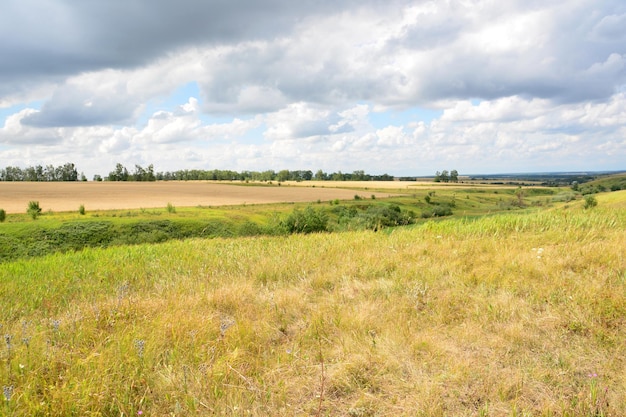 un campo con l'orizzonte e nubi pesanti copia spazio